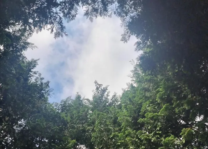 Cozy Traditional House Spangereid